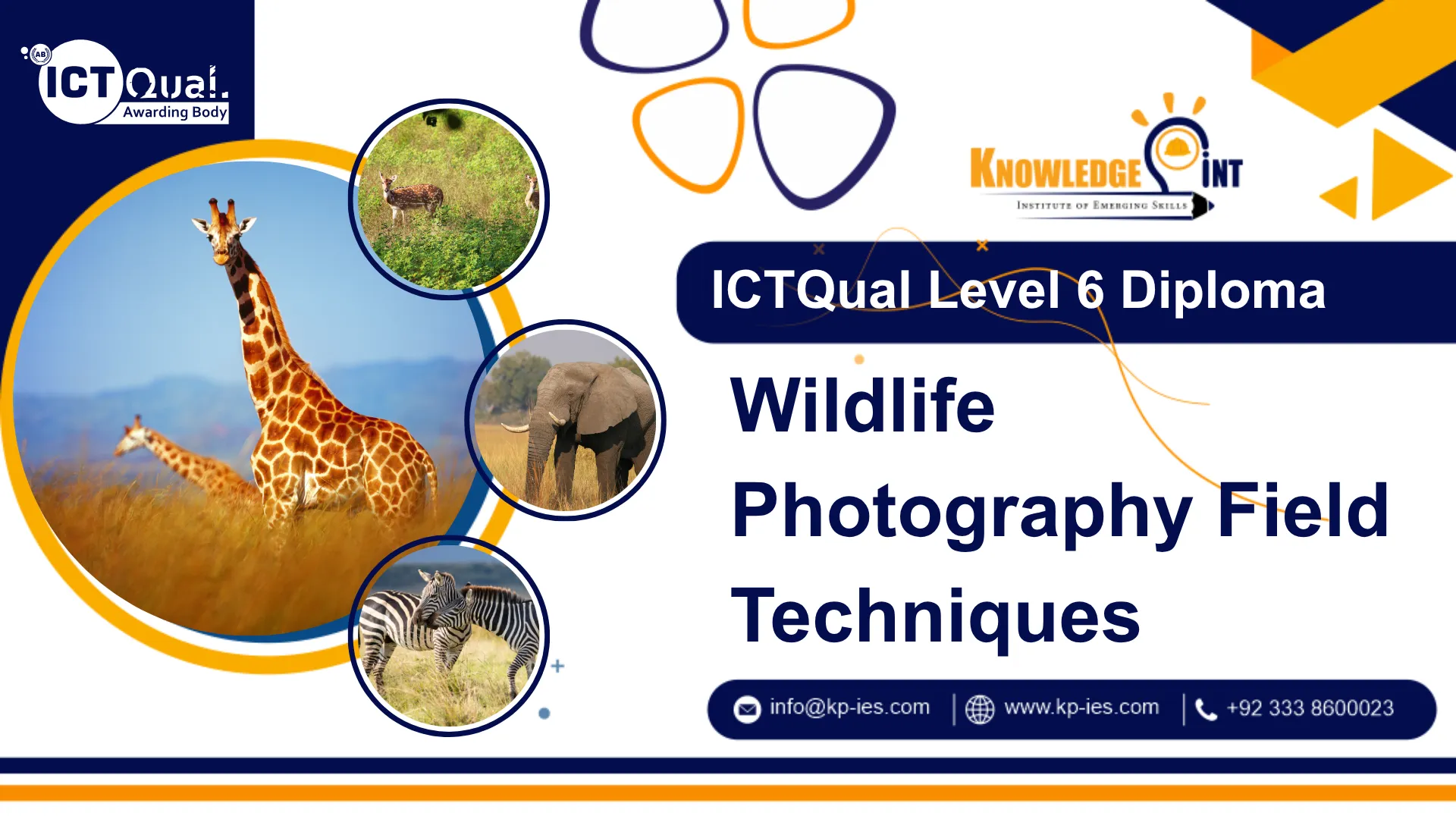 ICTQual Level 6 Diploma in Wildlife Photography Field Techniques ...
