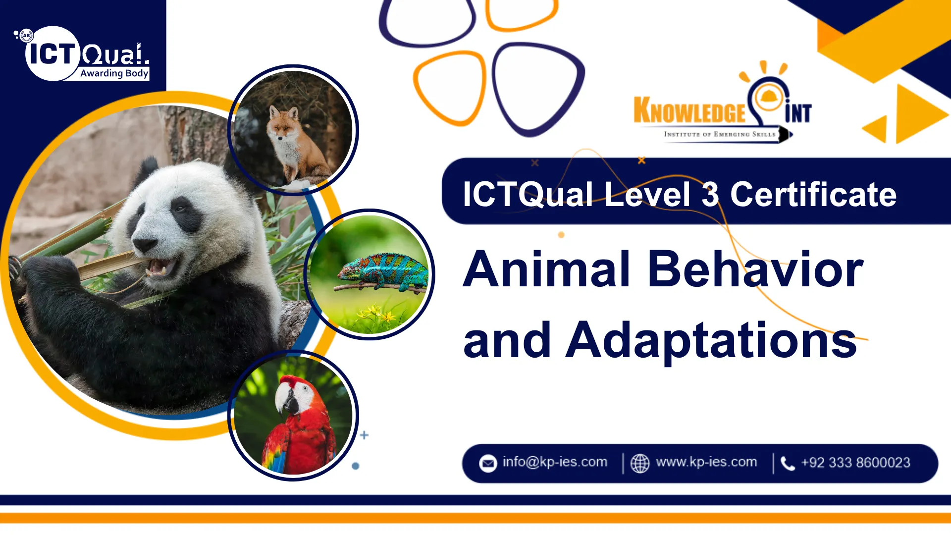 ICTQual Level 3 Certificate in Animal Behavior and Adaptations ...